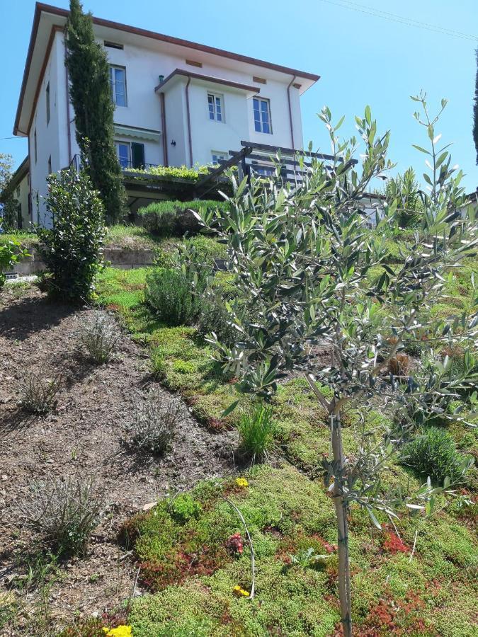 Villa Pavone Coreglia Antelminelli ภายนอก รูปภาพ